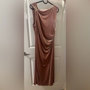 NWT Elegant Pink Velvet Dress